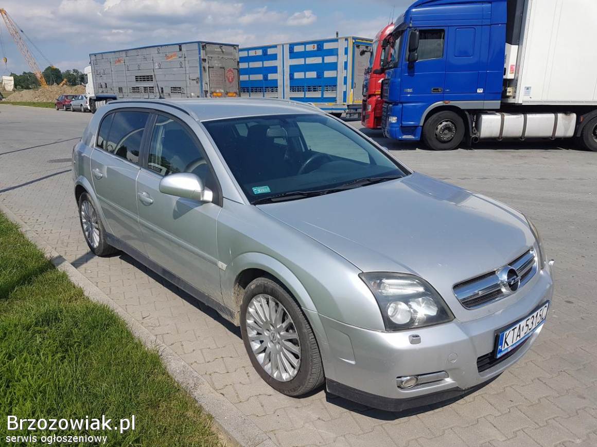 Opel signum 2004