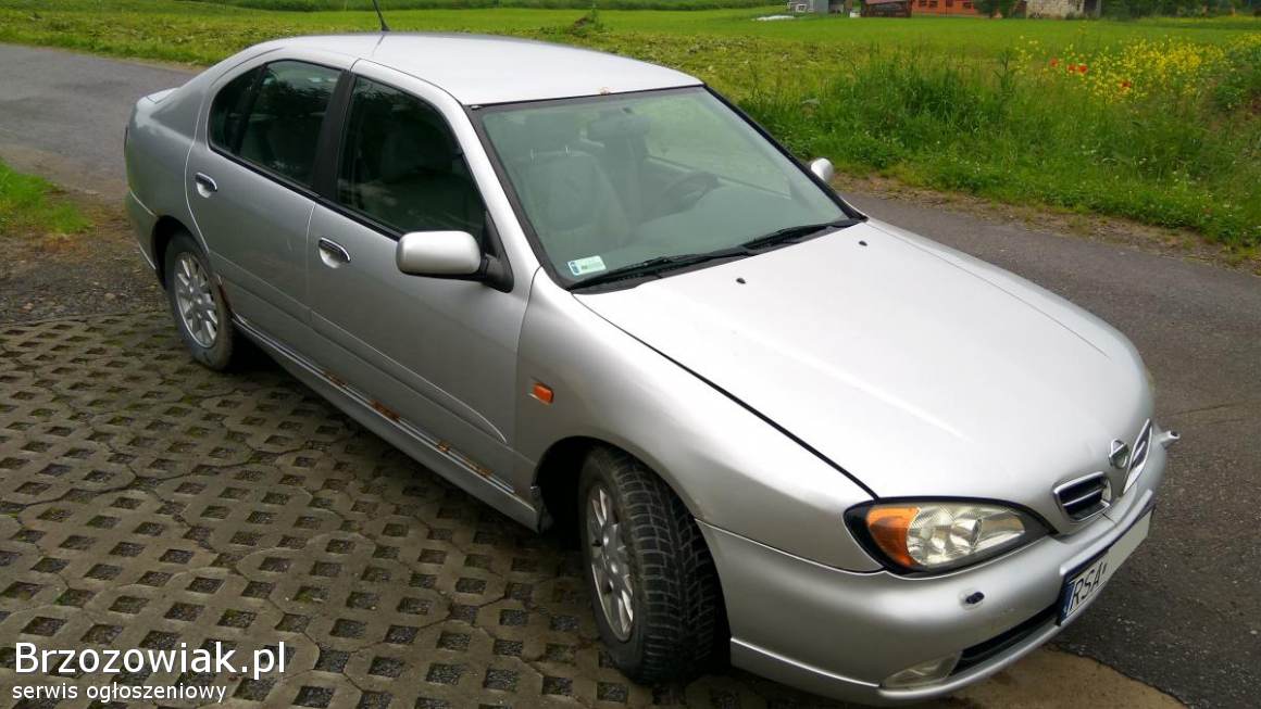 Nissan primera p11 характеристики