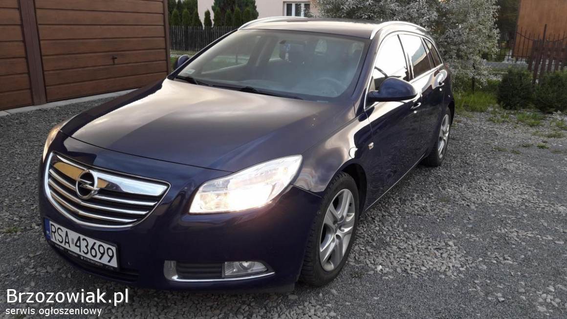 Opel Insignia 2010 Humniska Brzozów - Brzozowiak.pl