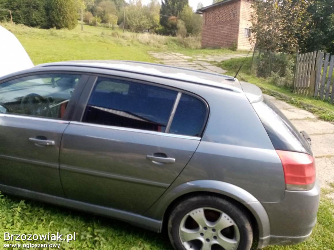 Opel signum 2004