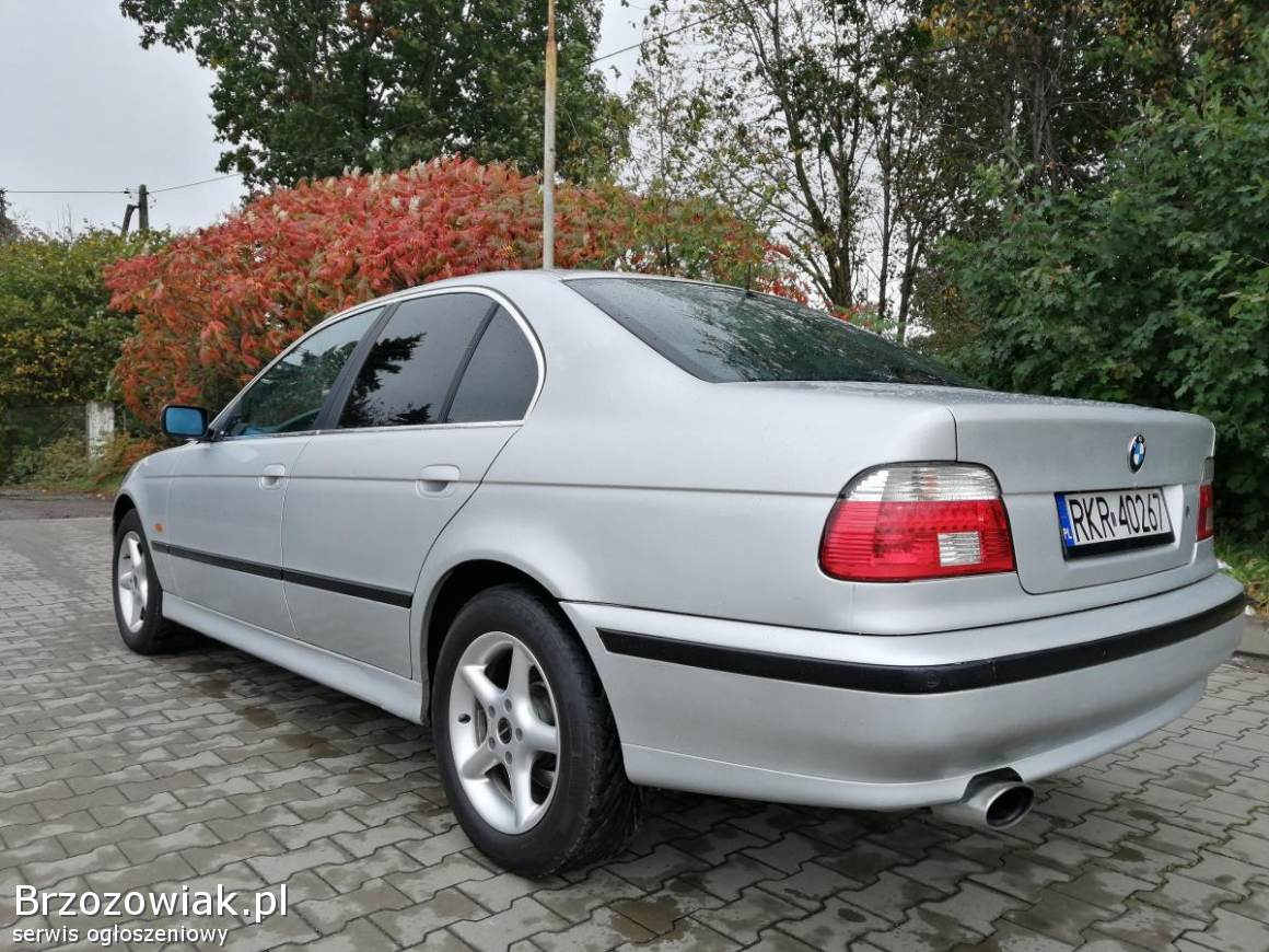 BMW Seria 5 E39 2001 Krosno Brzozowiak.pl